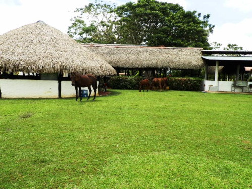 Inmobiliaria Peraig Oasis vende Granja Agroturística ubicada en Barinas